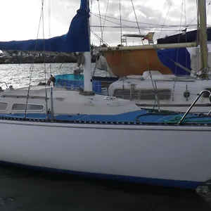 https://velero-freja.puertodelcarmen-hotels.org